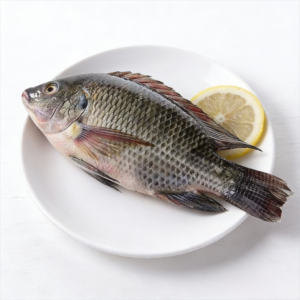 Tilapia from EU approved fish processing factory FFH food