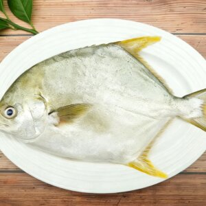 Frozen golden pompano whole round from EU approved seafood factory in China