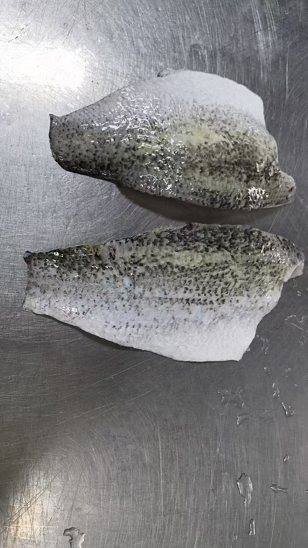 Frozen Barramundi Fillet, skin-on, farmed in Zhuhai, premium export seafood